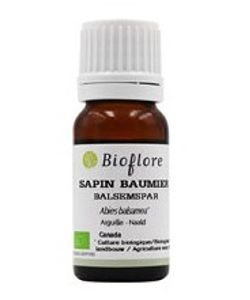 Sapin baumier